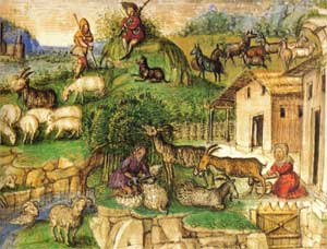 medieval lifestyle